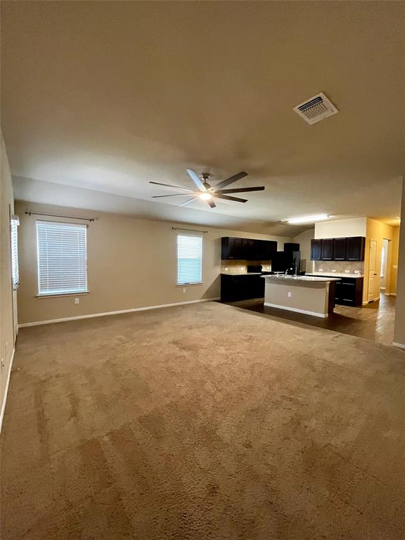 19521 Great Falls Drive Manor TX 78653
