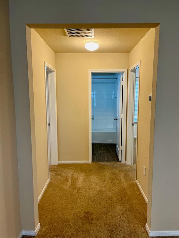 19521 Great Falls Drive Manor TX 78653