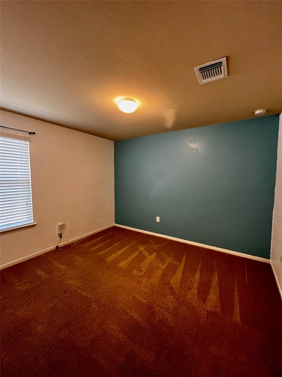 19521 Great Falls Drive Manor TX 78653