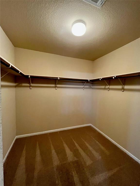 19521 Great Falls Drive Manor TX 78653
