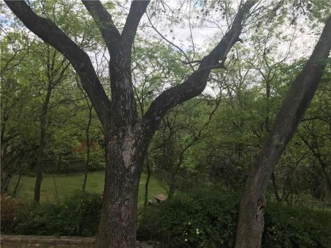 6401 Chimney Creek Circle Austin TX 78723