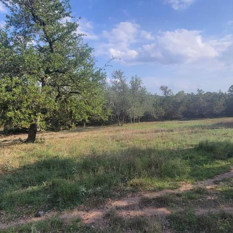 10501 Hill Country Skyline Dripping Springs TX 78620