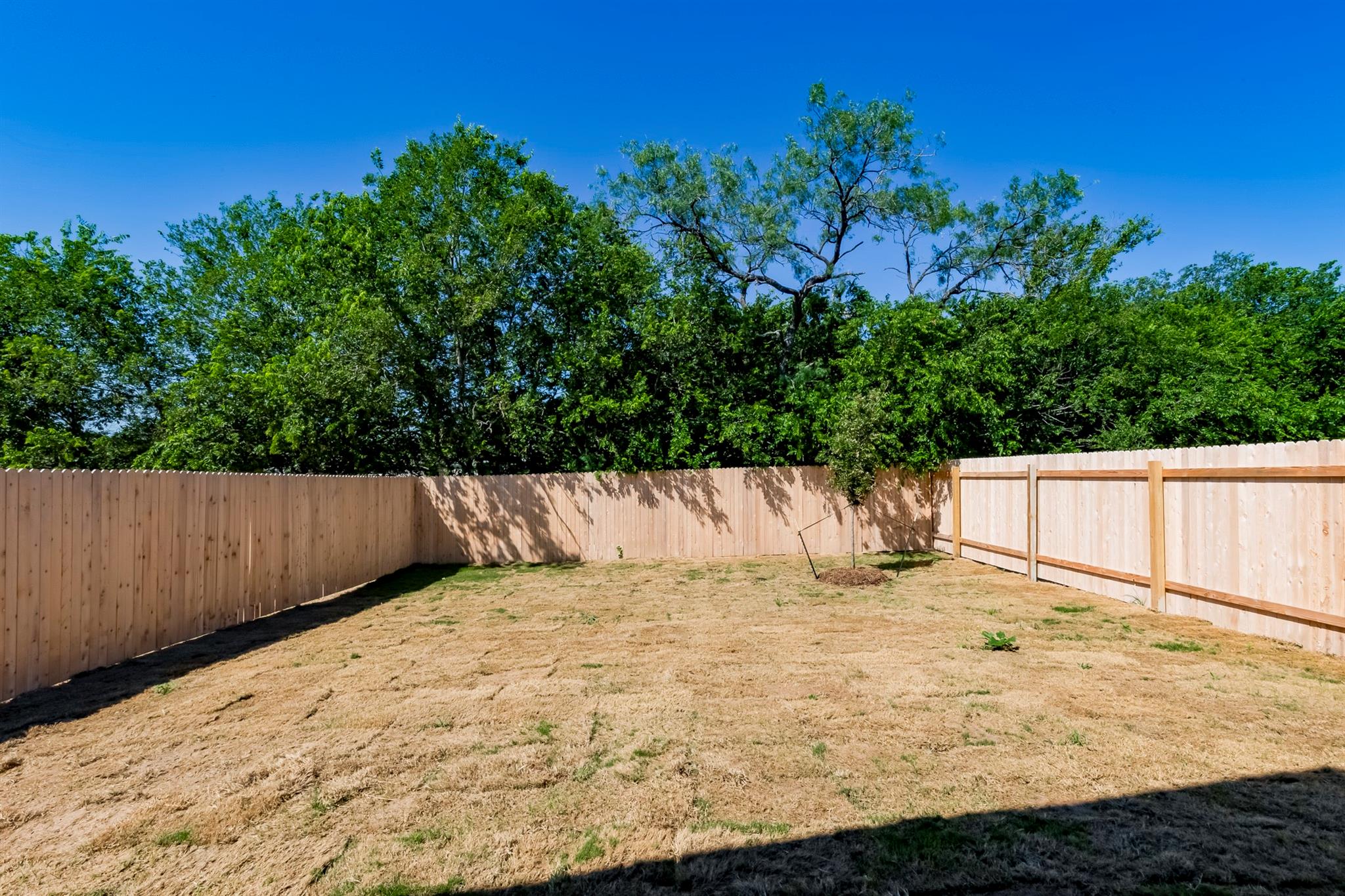 151 Pink Footed Pass Uhland TX 78640