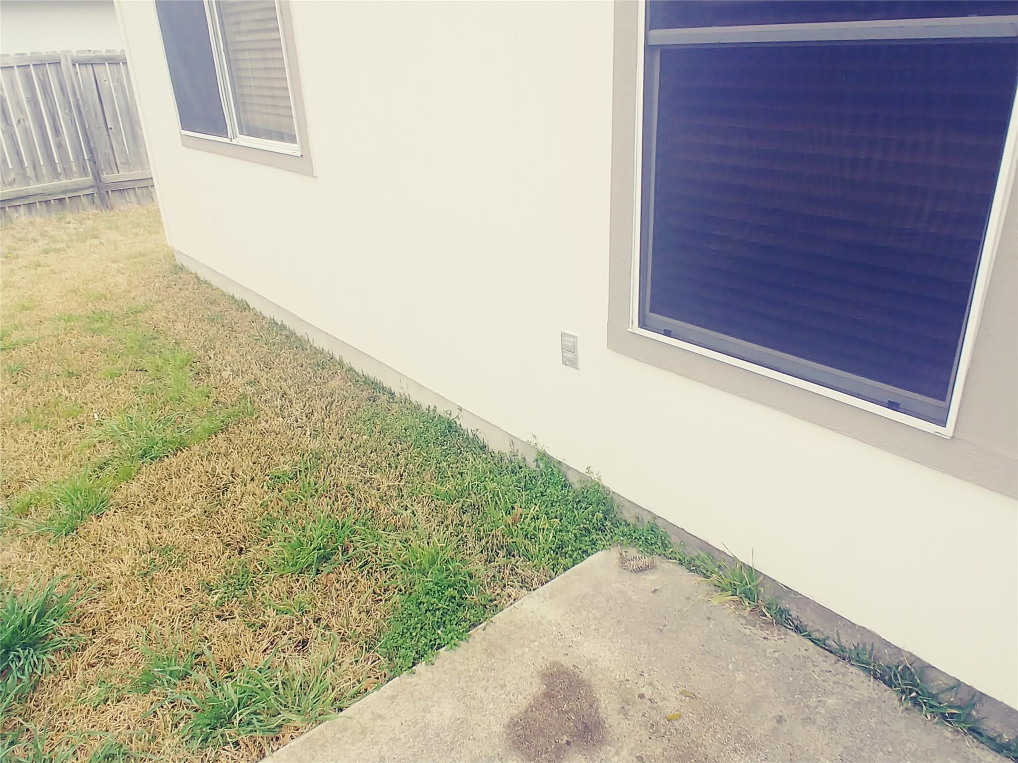 211 Wild Buffalo Drive Kyle TX 78640