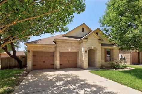321 Settlers Home Drive Cedar Park TX 78613