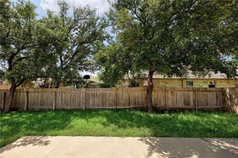 321 Settlers Home Drive Cedar Park TX 78613