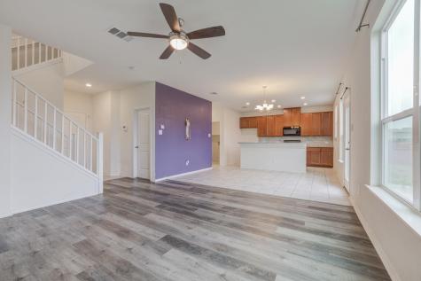 13908 Camp David Cove Manor TX 78653