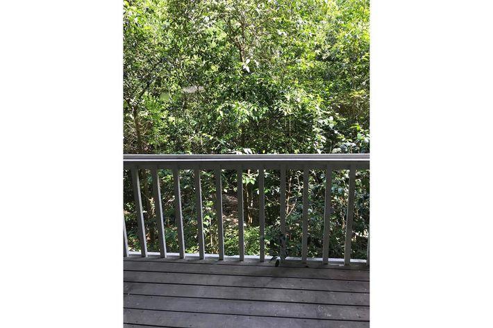 7201 Wood Hollow Drive Austin TX 78731