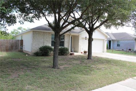 269 Indian Paintbrush Drive Kyle TX 78640