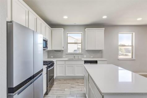 2533 Pecan Island Drive Leander TX 78641