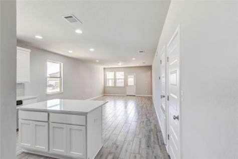 2533 Pecan Island Drive Leander TX 78641