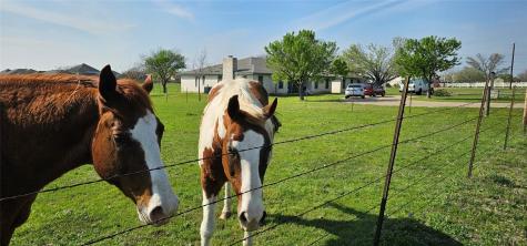 16 Brenda Lane Round Rock TX 78665