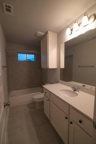 1732 Yaupon Grove Lane Leander TX 78641