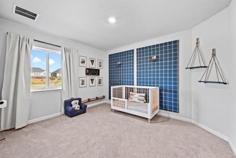 870 Texas Sage Loop Buda TX 78610