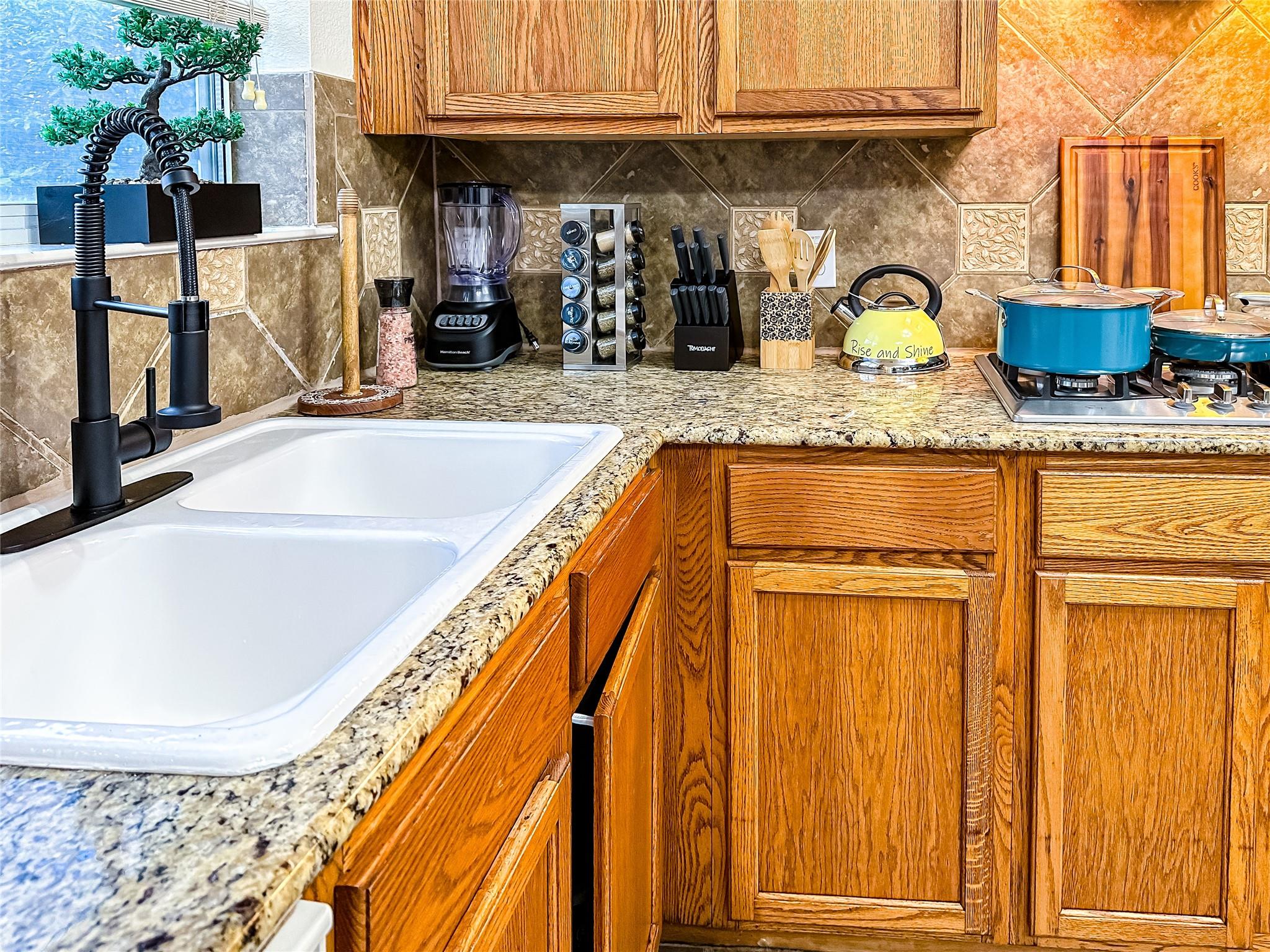 4205 Bent Wood Court Round Rock TX 78665