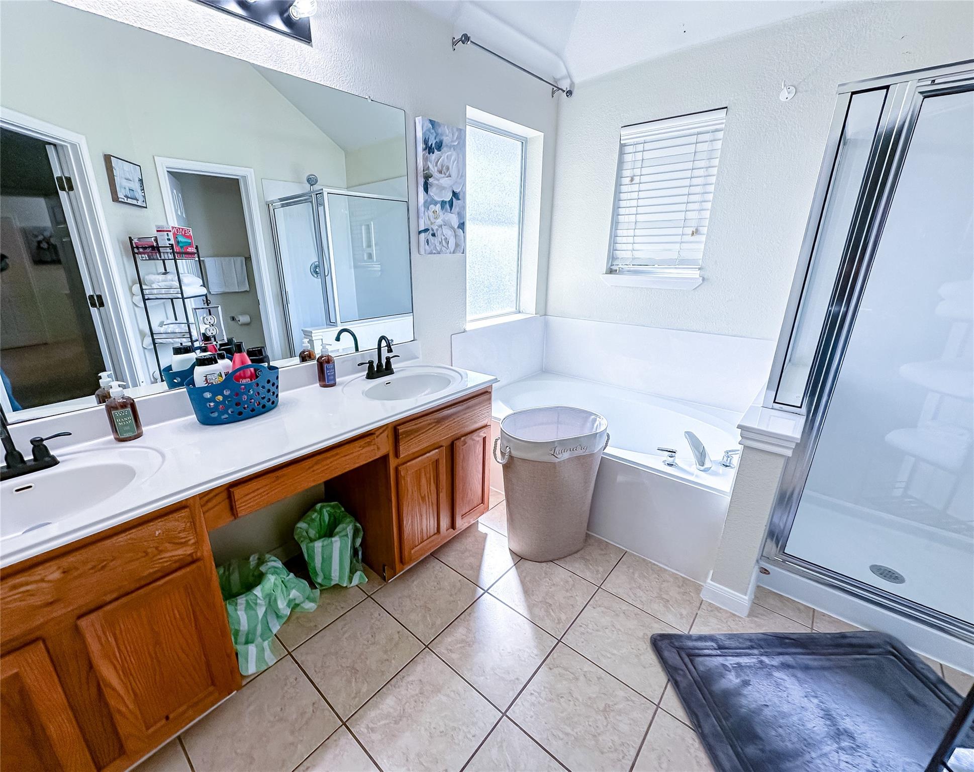 4205 Bent Wood Court Round Rock TX 78665