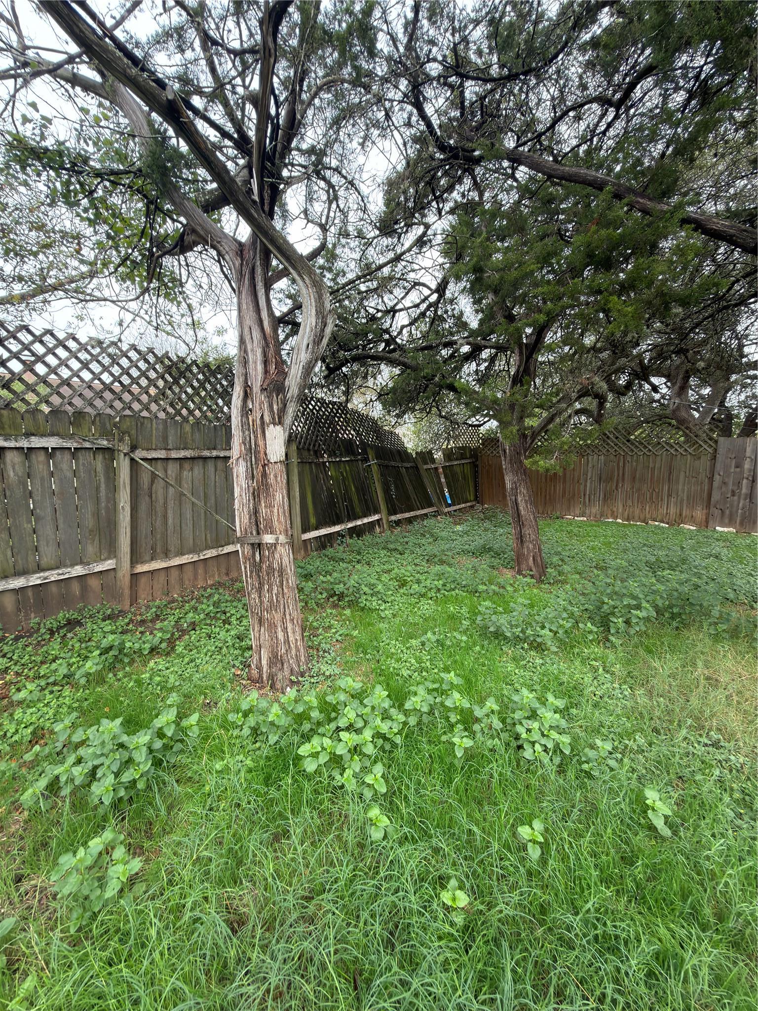 5601 Porsche Lane Austin TX 78749