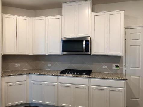 213 Asher Blue Drive Hutto TX 78634