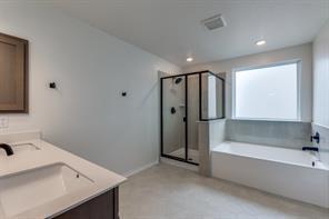 3914 La Contenta Lane Round Rock TX 78665