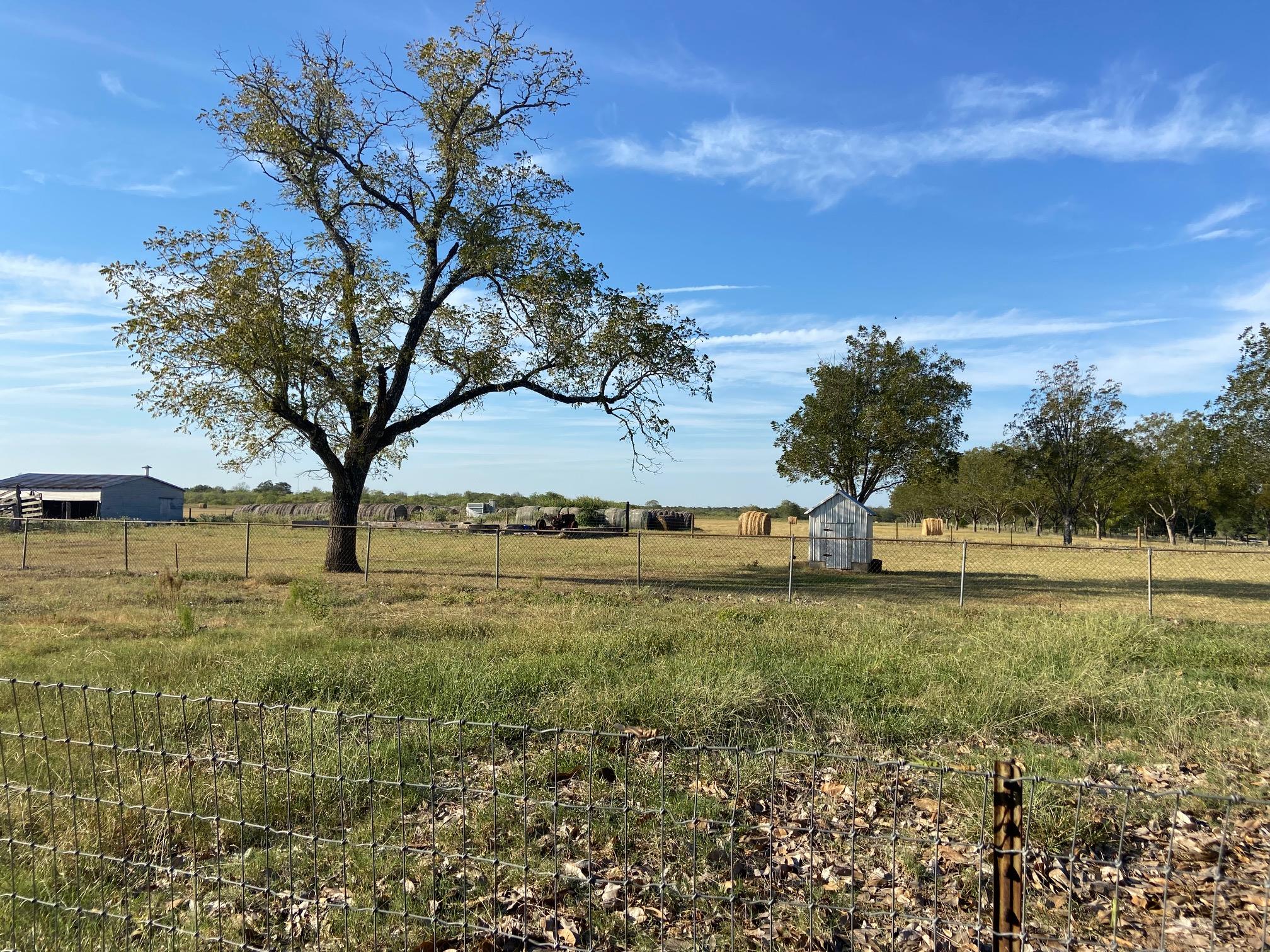 500 Greasy Bend Smithville TX 78957
