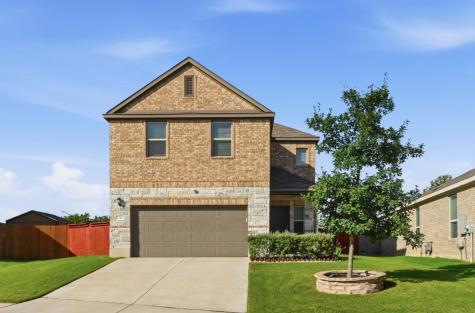 294 Thornless Circle Buda TX 78610
