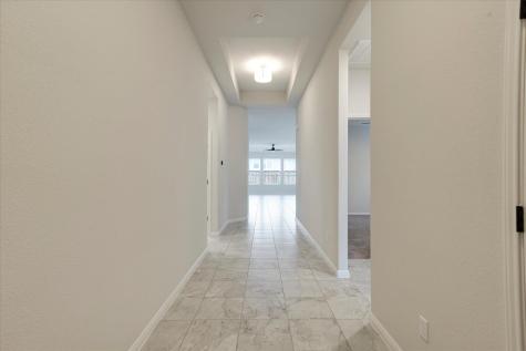117 Falkland Street Hutto TX 78634
