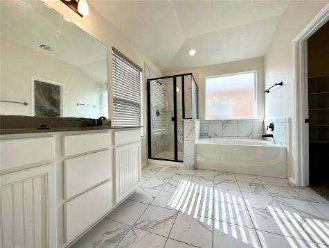 17113 NW Prestons Braid Lane Round Rock TX 78664