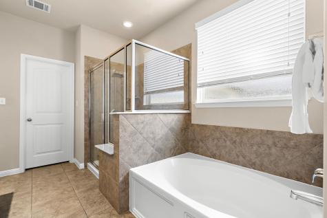 19216 Elk Horn Drive Pflugerville TX 78660