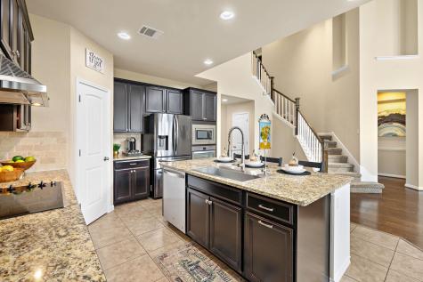 19216 Elk Horn Drive Pflugerville TX 78660