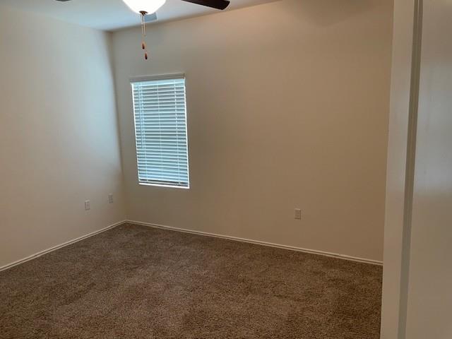 15506 Sweet Mimosa Drive N Del Valle TX 78617