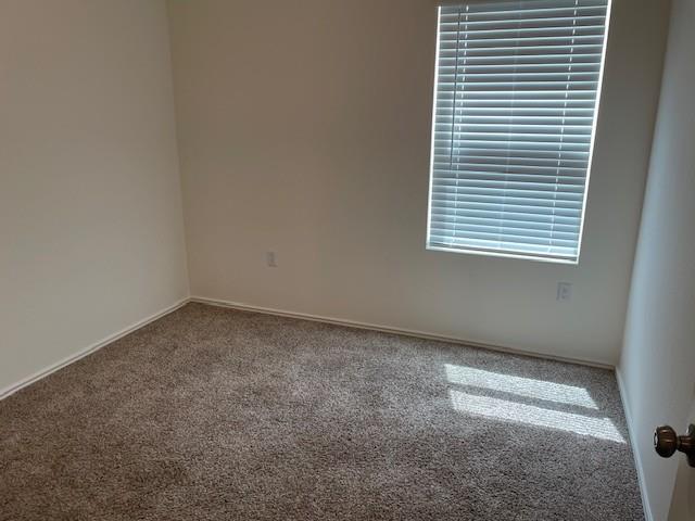 15506 Sweet Mimosa Drive N Del Valle TX 78617