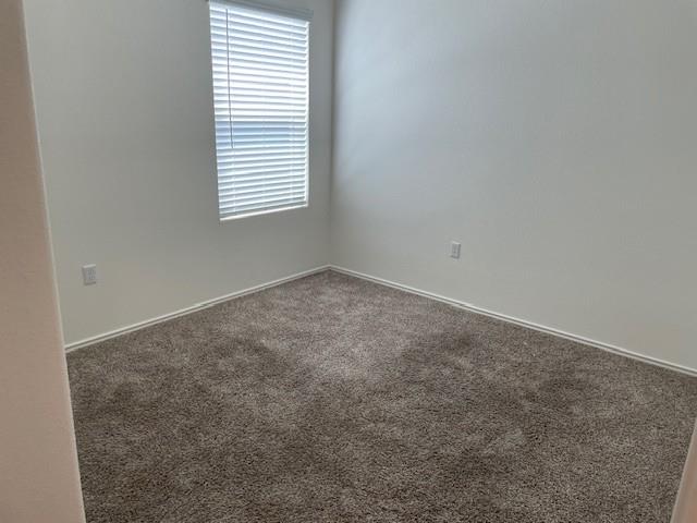 15506 Sweet Mimosa Drive N Del Valle TX 78617
