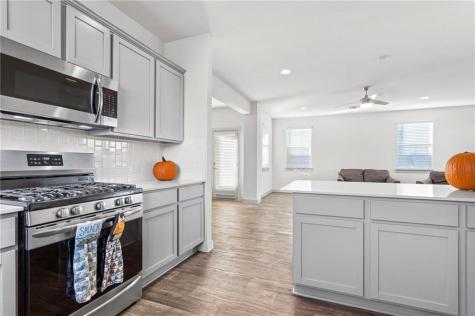 4713 Canongate Drive Pflugerville TX 78660