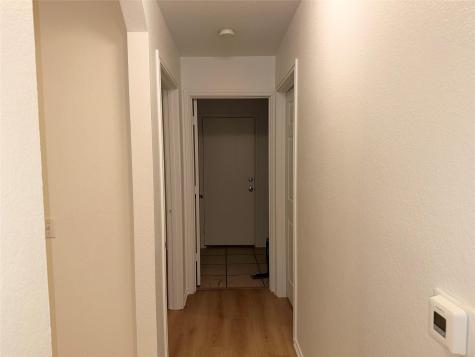 1509 Coriander Drive Austin TX 78741