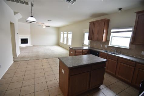 2413 Rachel Court Round Rock TX 78664