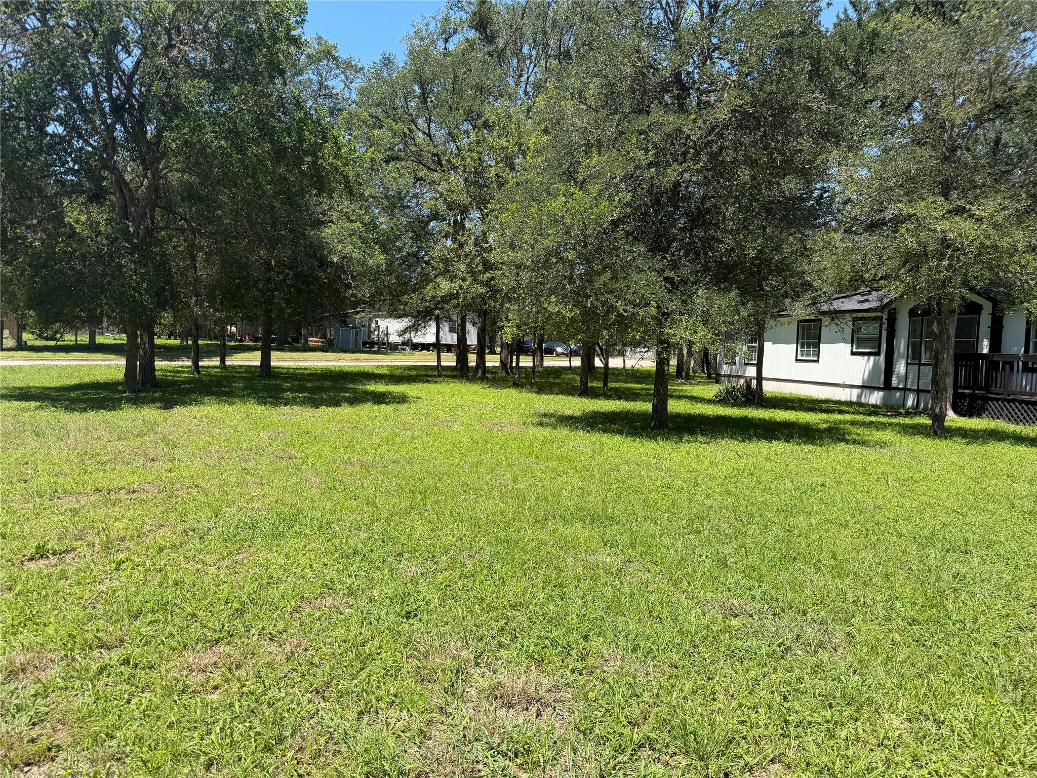 236 Live Oak Drive Cedar Creek TX 78612