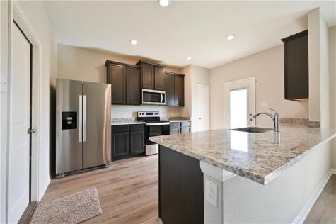252 Mount Vernon Way Liberty Hill TX 78642
