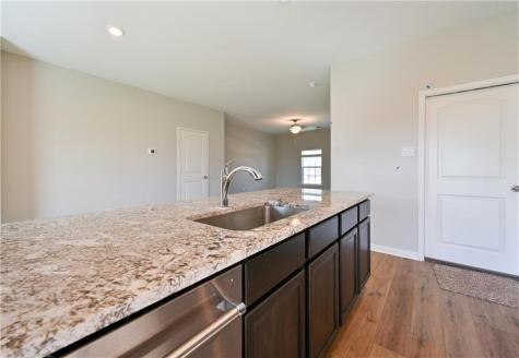 252 Mount Vernon Way Liberty Hill TX 78642