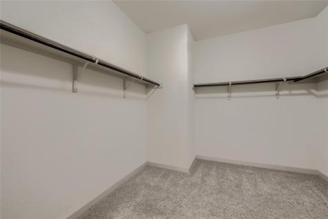 153 Filifera Court Leander TX 78641