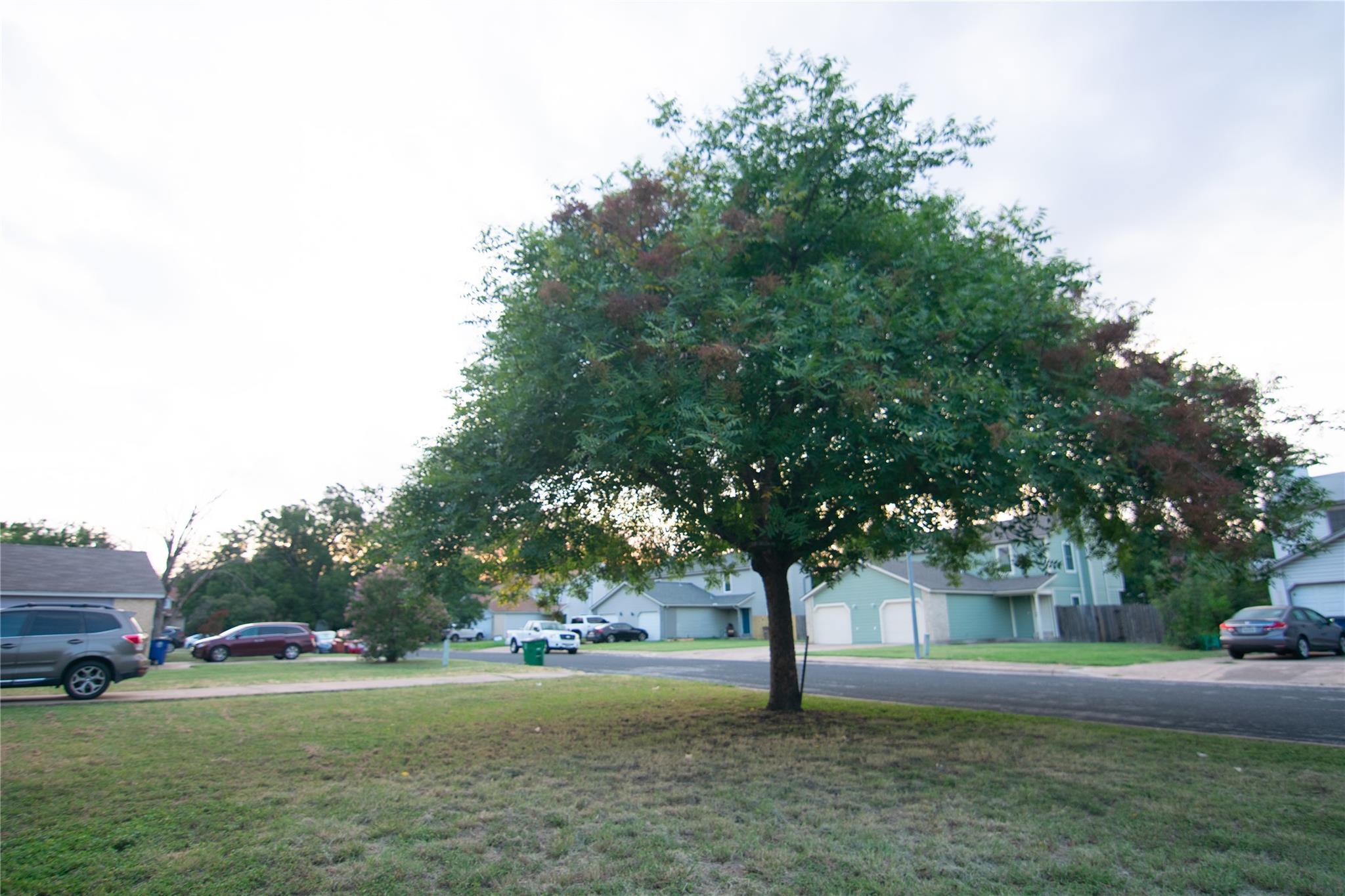 8807 Springmail Circle Austin TX 78729
