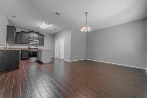 1333 Rainbow Parke Drive Round Rock TX 78665