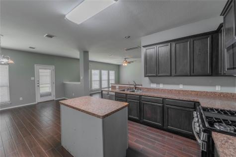 1333 Rainbow Parke Drive Round Rock TX 78665