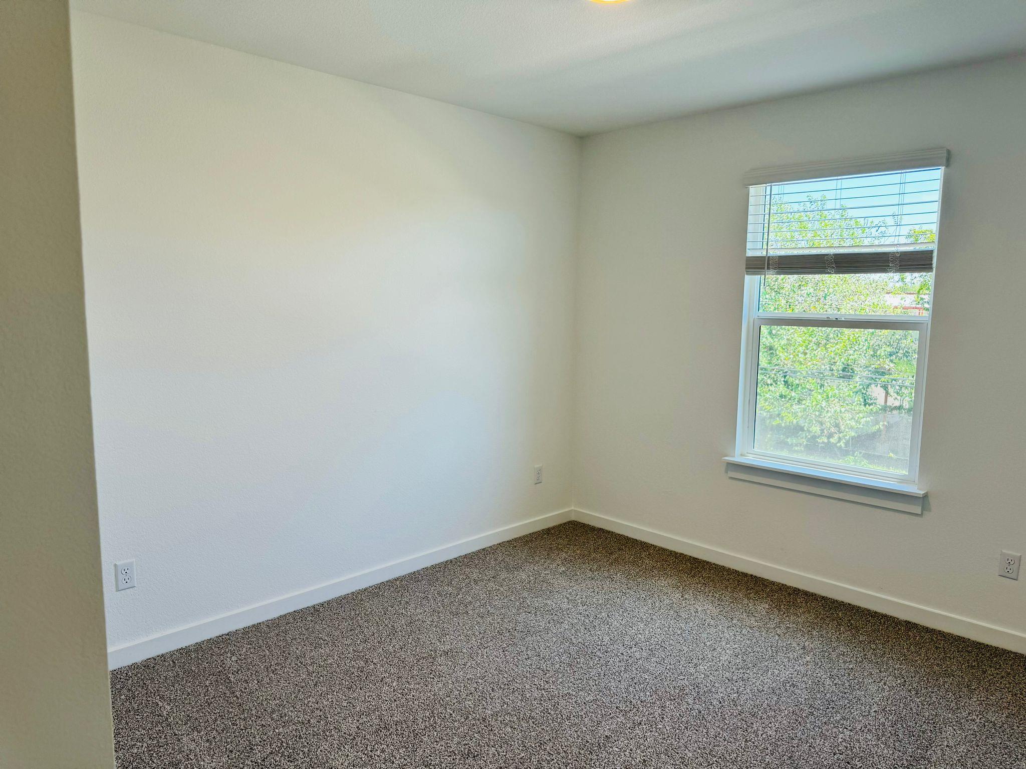 2405 Wallin Bradley Drive Round Rock TX 78665