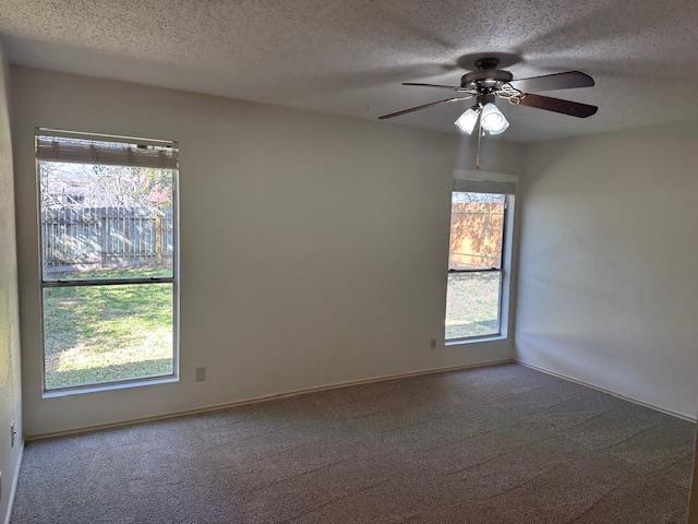 331 Fantail Loop Austin TX 78734