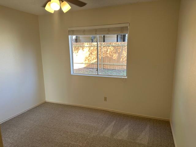 331 Fantail Loop Austin TX 78734
