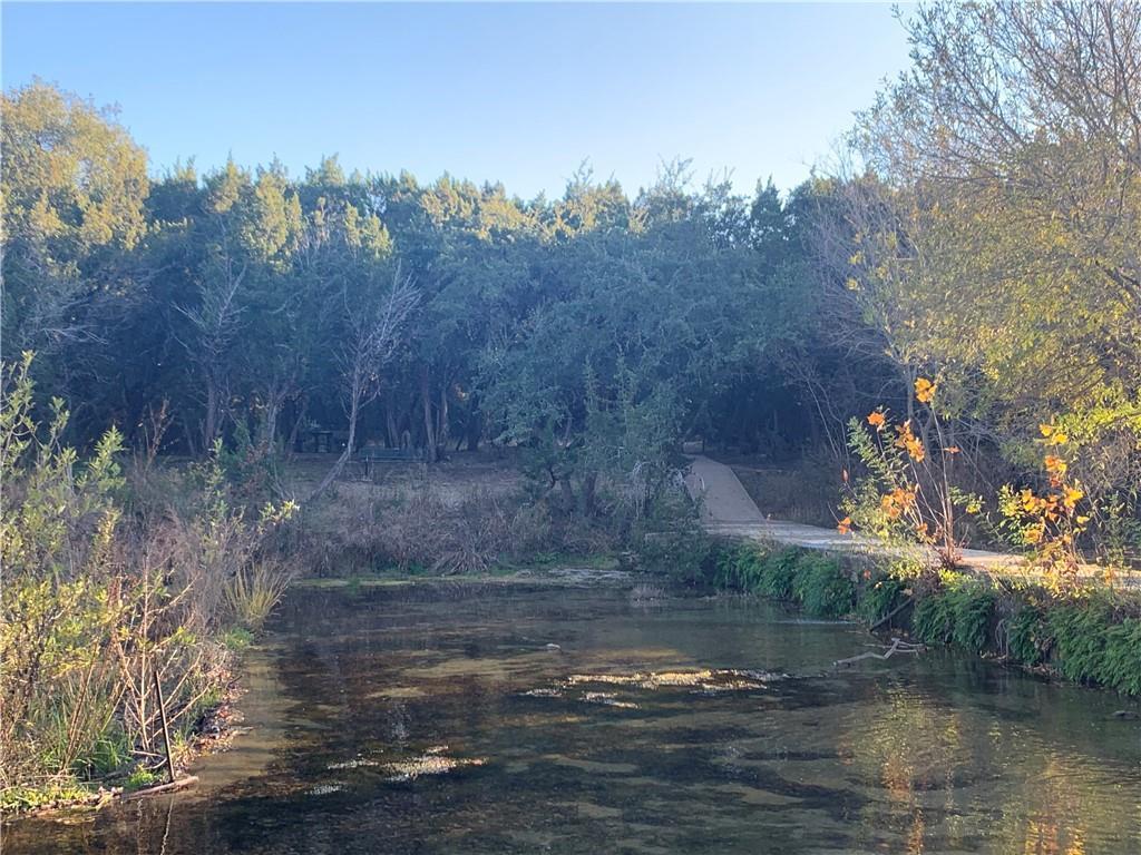 331 Fantail Loop Austin TX 78734