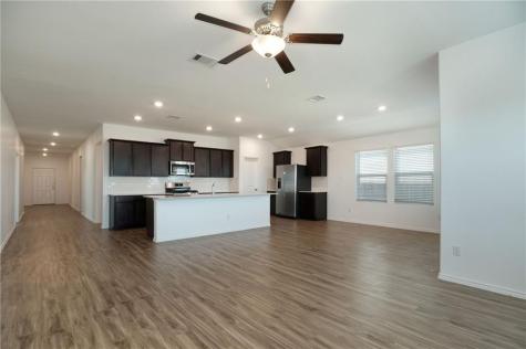 1007 Wolseley Cove Hutto TX 78634