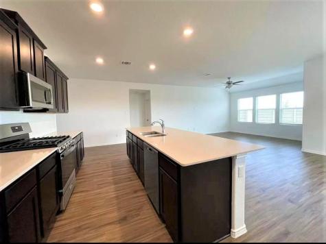 1007 Wolseley Cove Hutto TX 78634