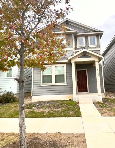 1725 Fountain Bridge Drive Leander TX 78641