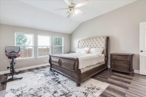 18716 Alnwick Castle Drive Pflugerville TX 78660
